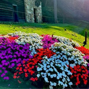 Meet your Posher, Lisette